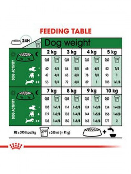 SHN MINI ADULT 8+_web5